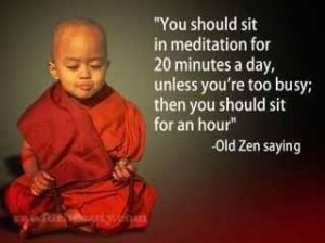 You should meditate for 20 minutes per day