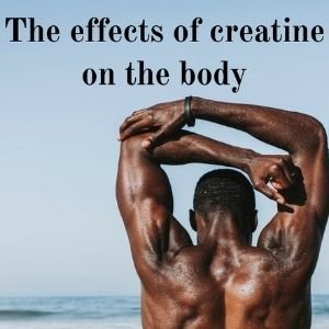 The Effects Of Creatine On The Body