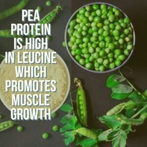 The Difference Between Protein Powders