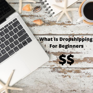 Dropshipping For Beginners