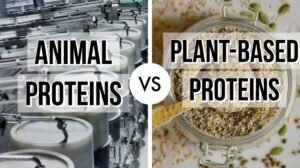 animal proteins vs plant-based proteins