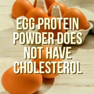 egg protein powder