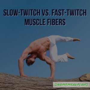 slow twitch vs fast twitch muscle fibers